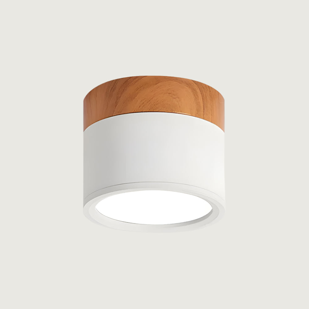 LED Plafondlamp | Compact en Modern voor Elke Ruimte