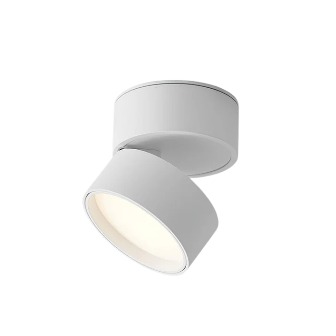 LED Plafondlamp | Verstelbaar en Stijlvol voor Elke Ruimte
