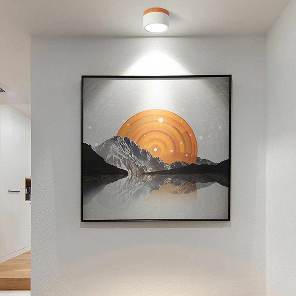 LED Plafondlamp | Compact en Modern voor Elke Ruimte